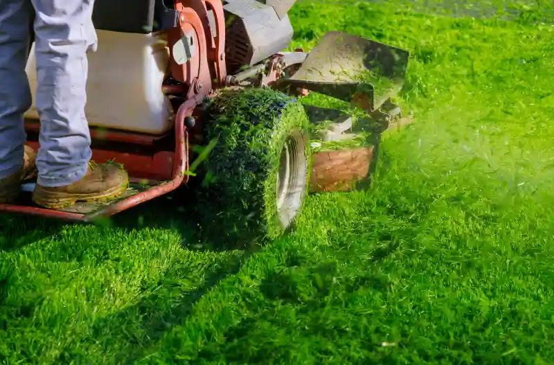 Can you mow wet grass in Waterbury, CT 