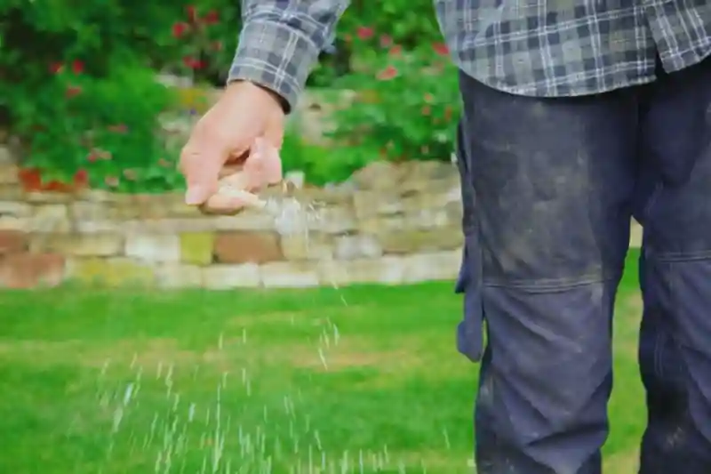 How often should you fertilize your lawn in Waterbury, CT 