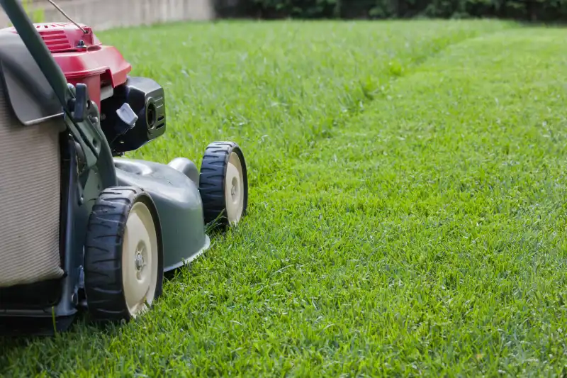 Outstanding Lawn Mowing Services in Waterbury, CT 