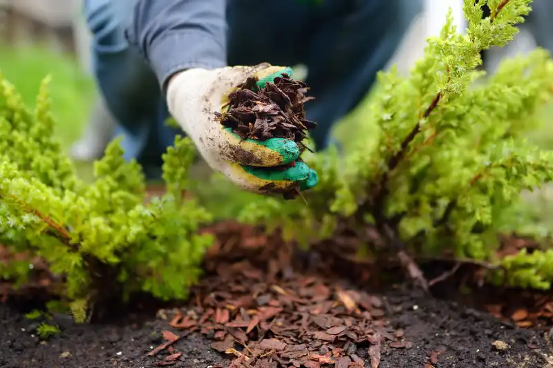 Outstanding Mulching Service in Waterbury, CT 