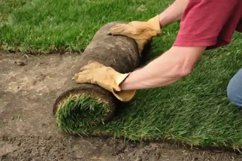 Professional Sod Installation Service in Waterbury, CT 