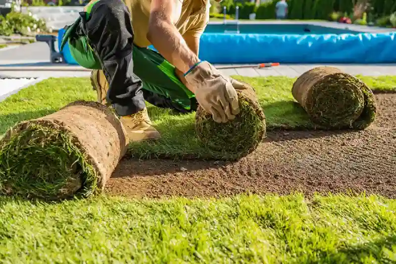 Outstanding Sod Installation Service in Waterbury, CT 