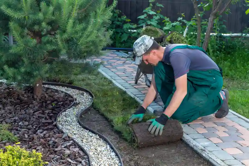 Reliable Sod Installation Service in Waterbury, CT 