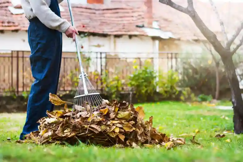 Professional Yard cleanup Service in Waterbury, CT 